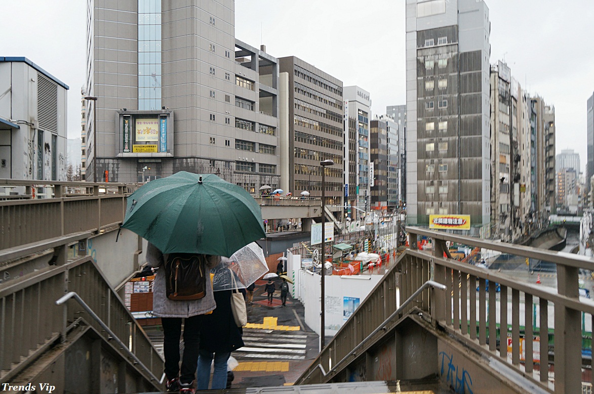 Tokyo Weather March, Shibuya