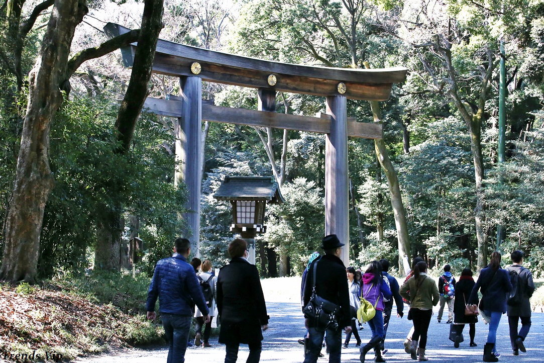 Meiji Shrine 